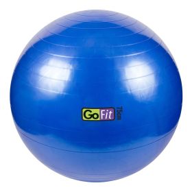 Go Fit 75cm Exercise Ball