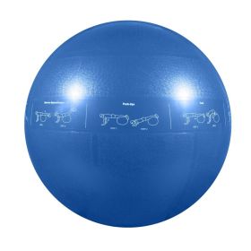 Go Fit 55cm Stability Ball with Guide