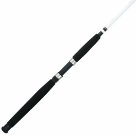 Berkley Big Game 2 Piece Spinning Rod