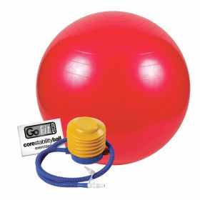 Go Fit 55cm 1000lb Capacity Exercise Ball with Pump & Training Poster